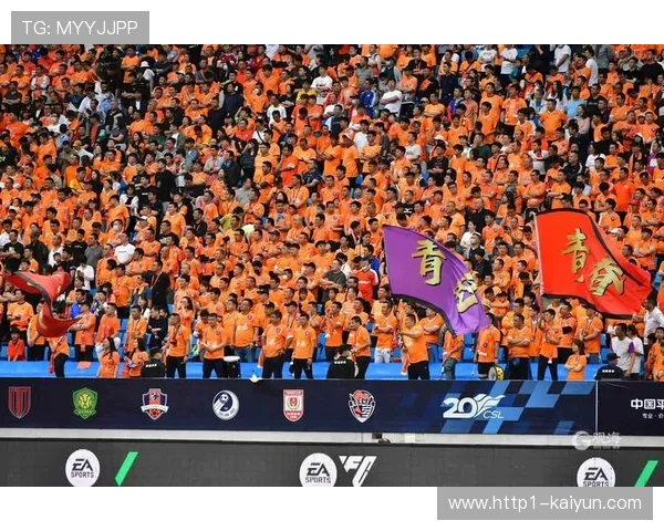 上海申花主场0比2不敌町田泽维亚 遭遇亚冠四连败提前出局